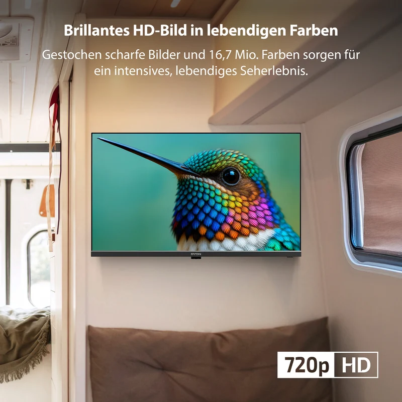 DYON Enter 24 Pro-X-V 24 Zoll HD 12V Camping Fernseher - kein WLAN