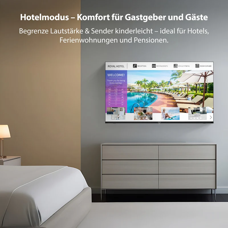 DYON Enter 24 Pro-X-V 24 Zoll HD 12V Camping Fernseher - kein WLAN