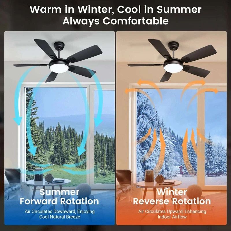 Modern Minimalist 5-Blade Ceiling Fan Light 42 /52 Black/White/Wood Grain Dimmable with Doodle App Ceiling Fan Light