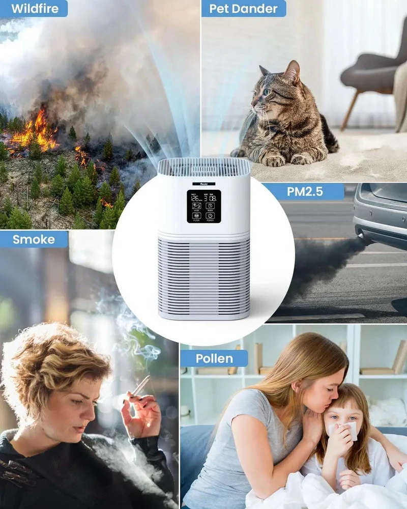 2 in 1 Air Purifier for Home Allergies Pets Hair Odor Eliminators, Aromatherapy diffuser and Auto Mode, Quiet Air Cleaner