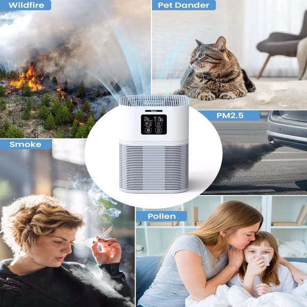 2 in 1 Air Purifier for Home Allergies Pets Hair Odor Eliminators, Aromatherapy diffuser and Auto Mode, Quiet Air Cleaner