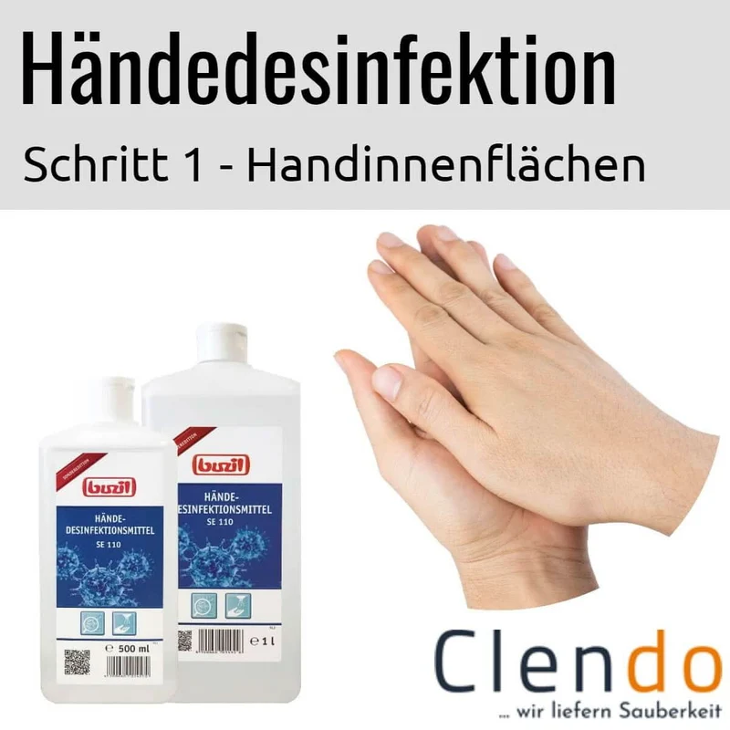 Buzil Händedesinfektion SE110 D110