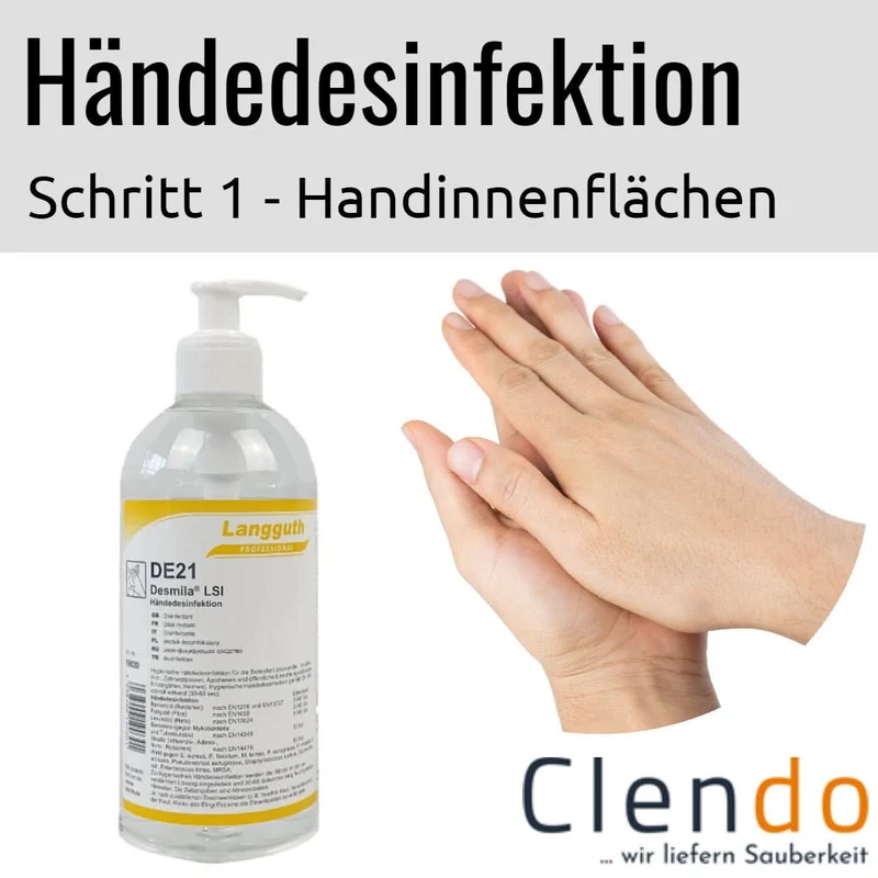 Langguth DE21 Desmila LSI Händedesinfektion 500ml Dosierflasche