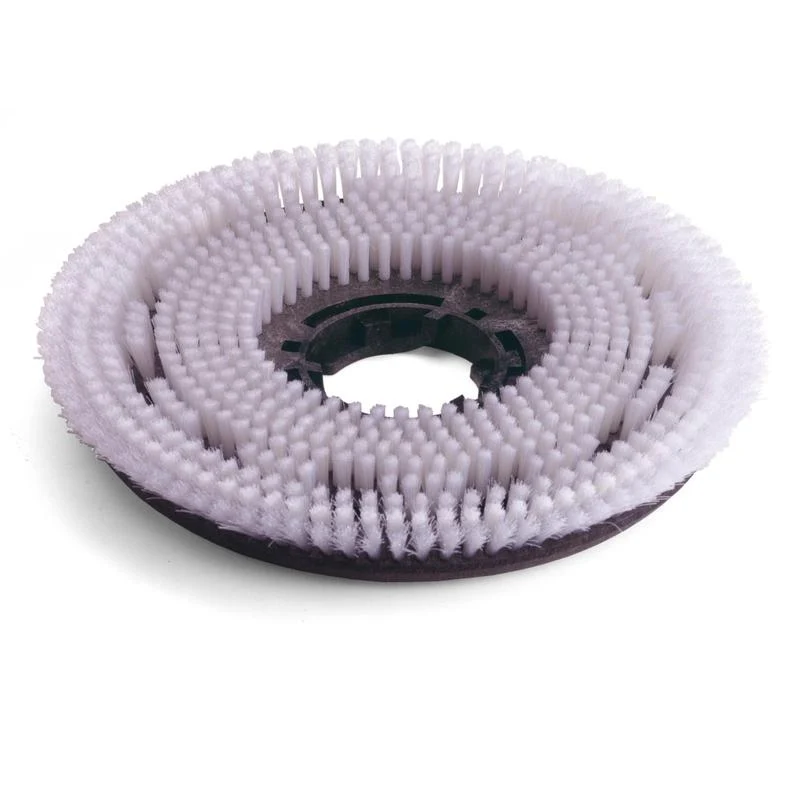 Numatic Octo Nylon Scheuerbürste, 300 mm für TTV678/TVL850 | Packung (1 Stück)