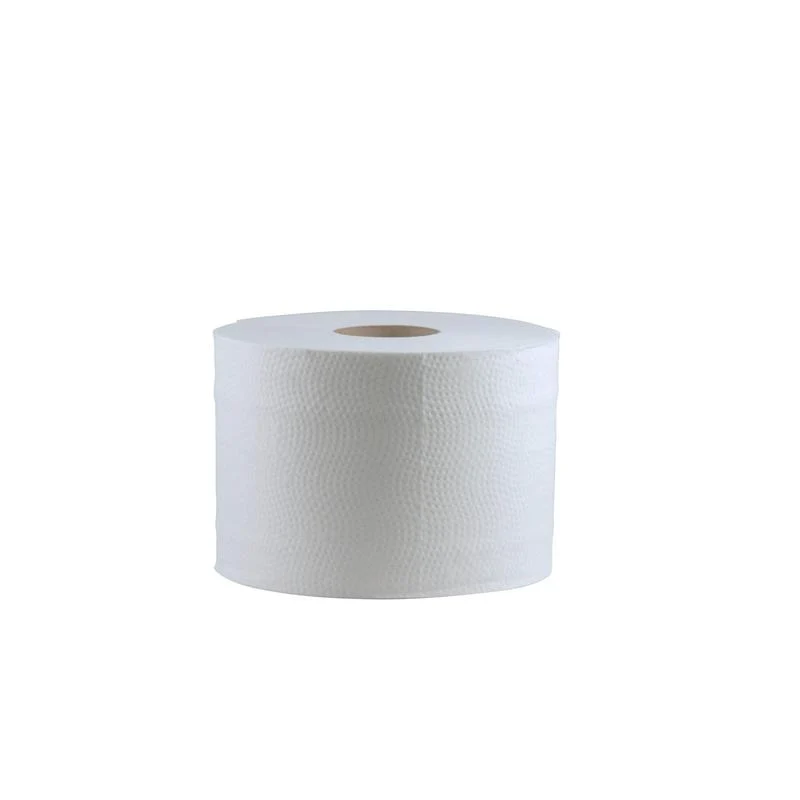 CWS Toilettenpapier, Maxi 100, Recycling, 2-lagig | Karton (24 Rollen)