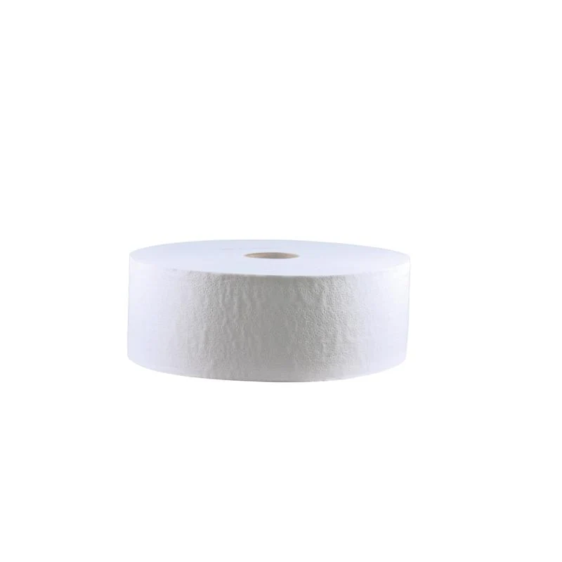 CWS Großrolle Toilettenpapier Recycling, perforiert, Weiß, 2-lagig | Karton (6 Rollen)