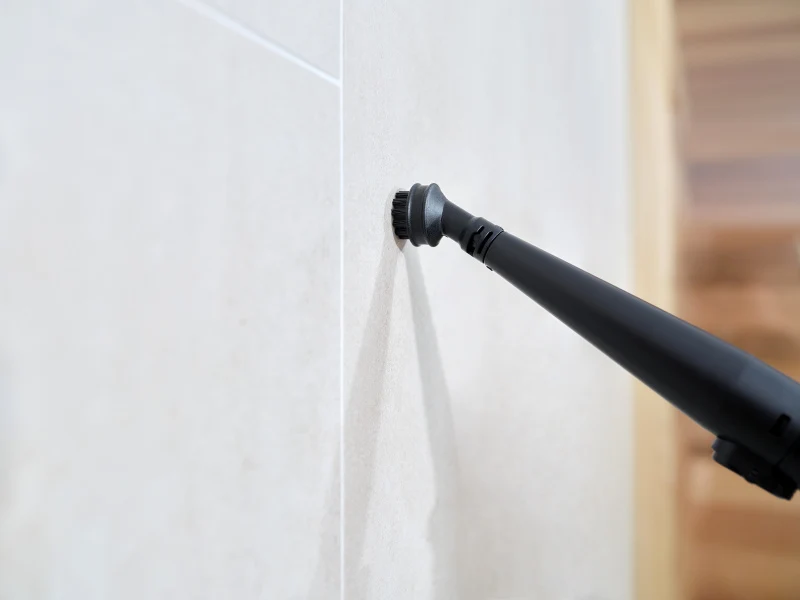 Spot cleaner ETA Steam&Clean 7214 90000 schwarz